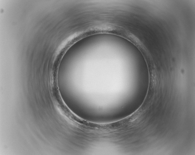 X0000055510726200508262139