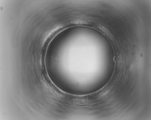 X0000055510727200508262139