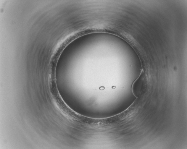 X0000055510728200508262139