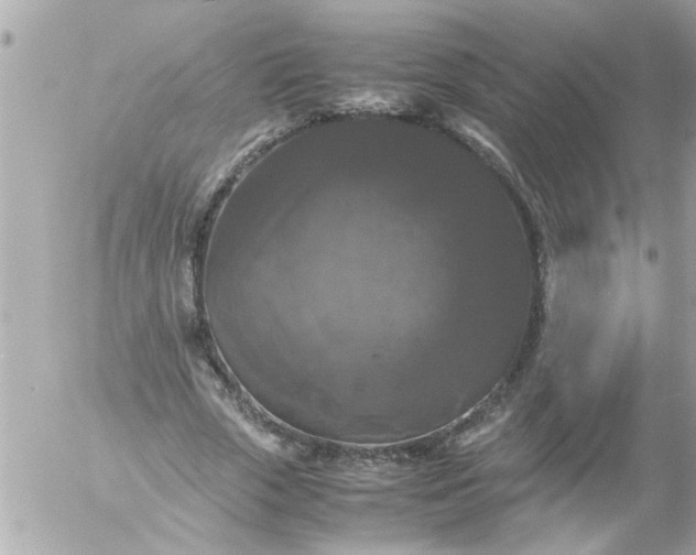 X0000055510729200508262139