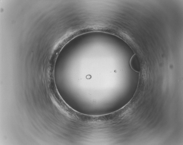 X0000055510730200508262139