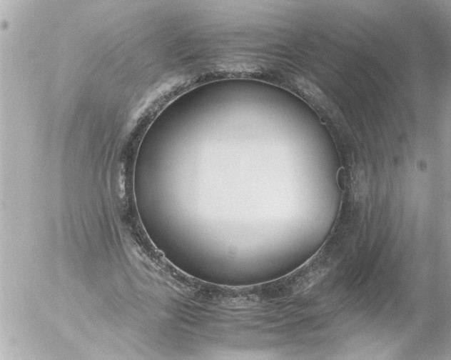 X0000055510731200508262139