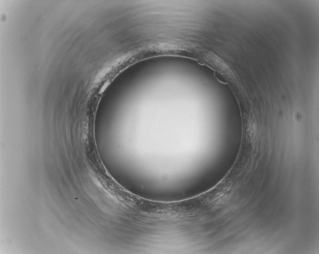 X0000055510732200508262139