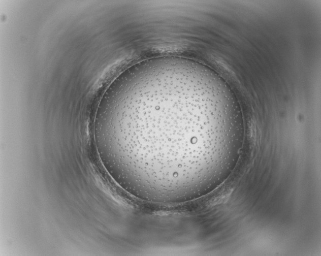 X0000055510733200508262140