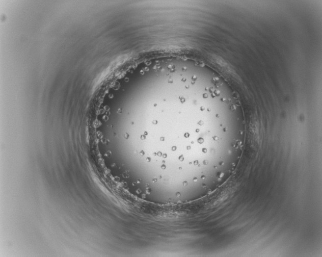 X0000055510734200508262140