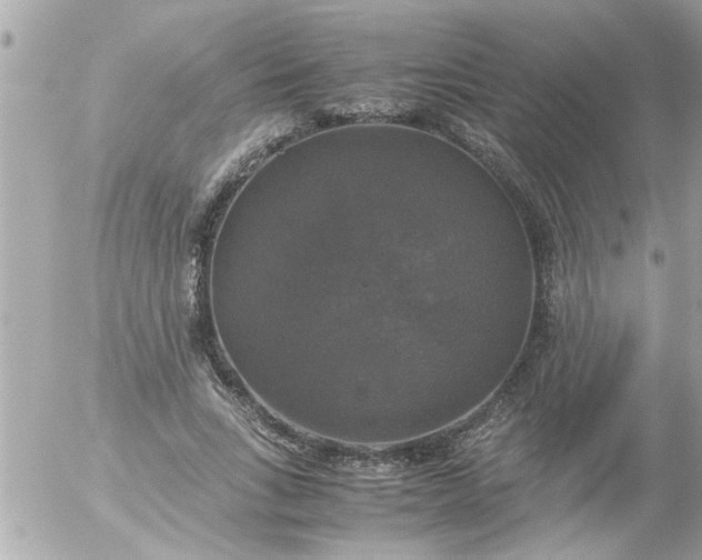 X0000055510735200508262140