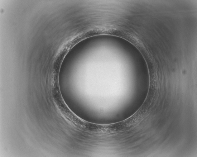 X0000055510736200508262140