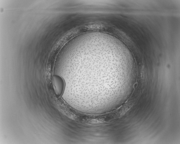 X0000055510737200508262140