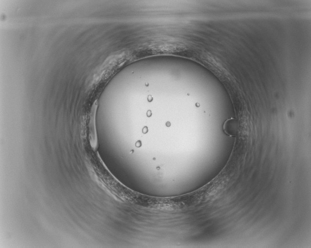 X0000055510738200508262140