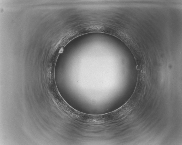 X0000055510739200508262140