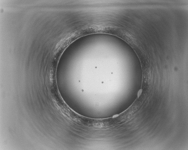 X0000055510740200508262140