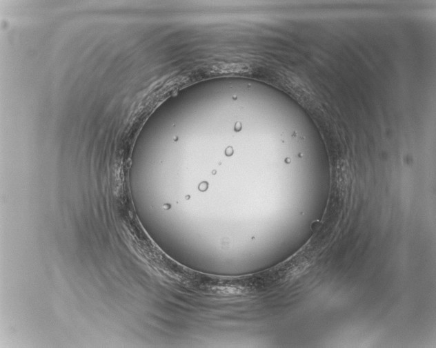 X0000055510741200508262140