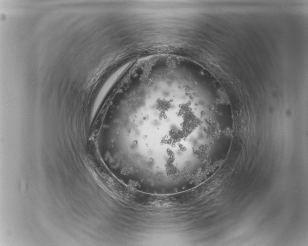 X0000055510742200508262140