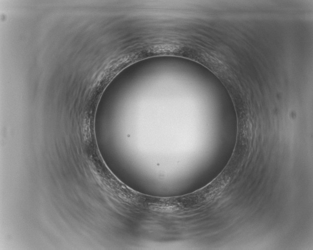 X0000055510743200508262140