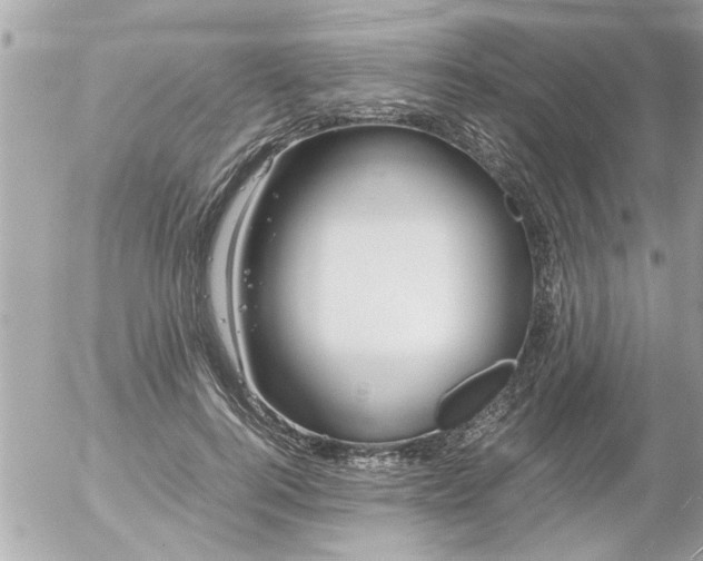 X0000055510744200508262140