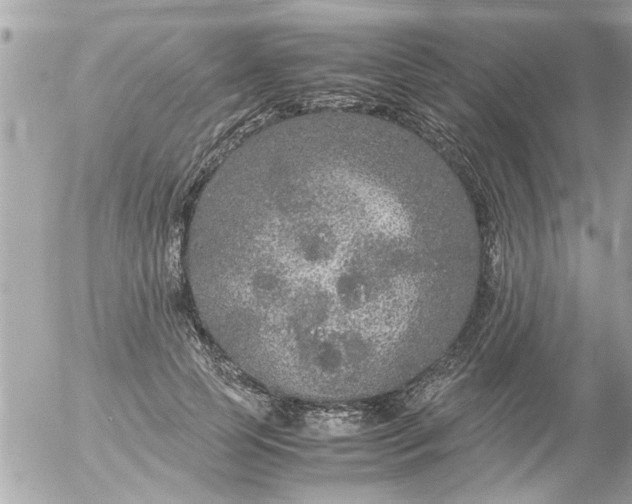 X0000055510745200508262140