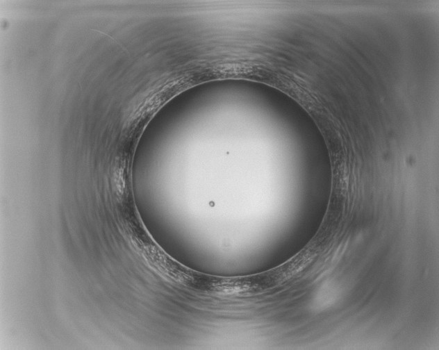 X0000055510746200508262140