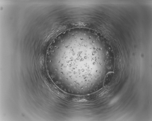 X0000055510747200508262140