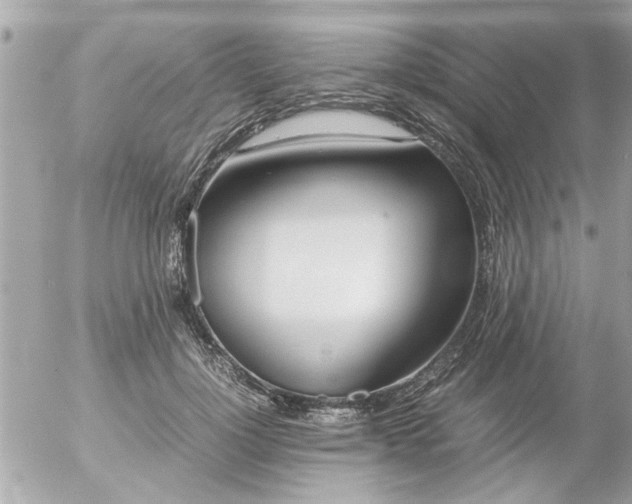 X0000055510748200508262140