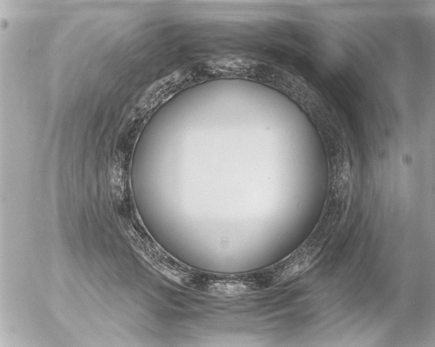 X0000055510749200508262140