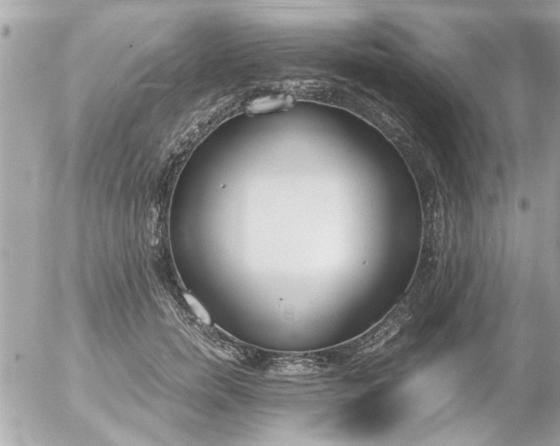 X0000055510750200508262140