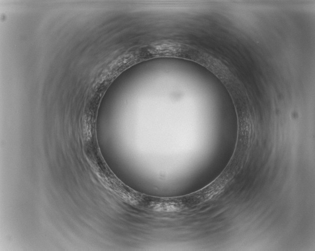 X0000055510751200508262140