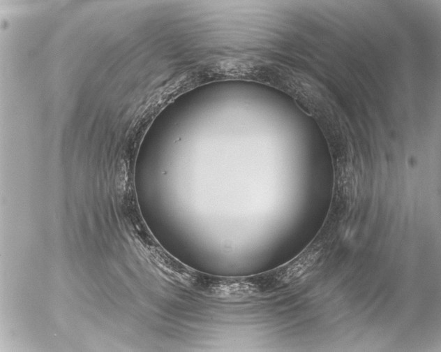 X0000055510752200508262140