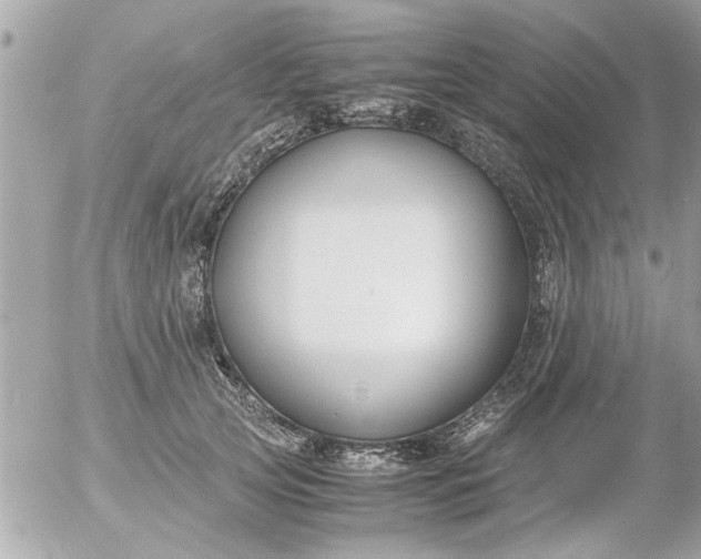 X0000055510753200508262140