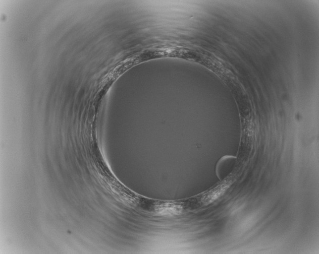 X0000055510754200508262140