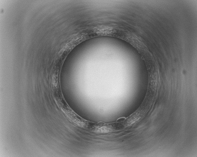 X0000055510755200508262140