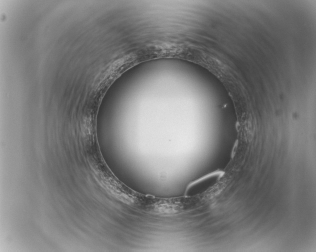 X0000055510756200508262140