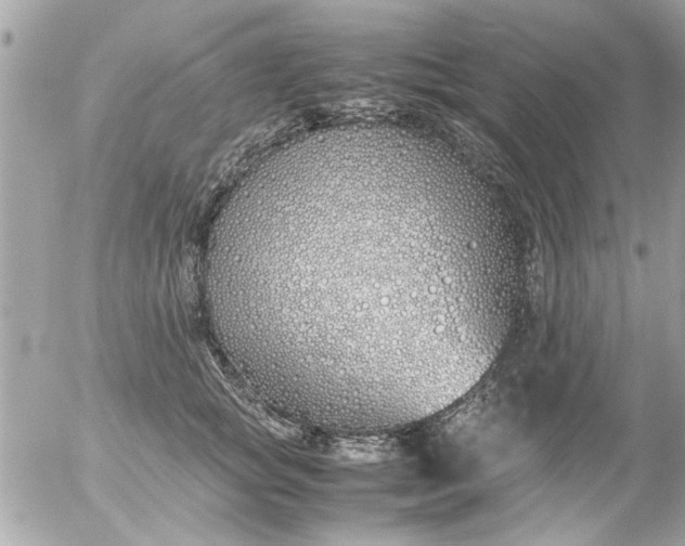 X0000055510757200508262140