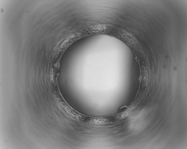 X0000055510758200508262140