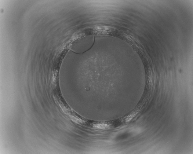 X0000055510759200508262140