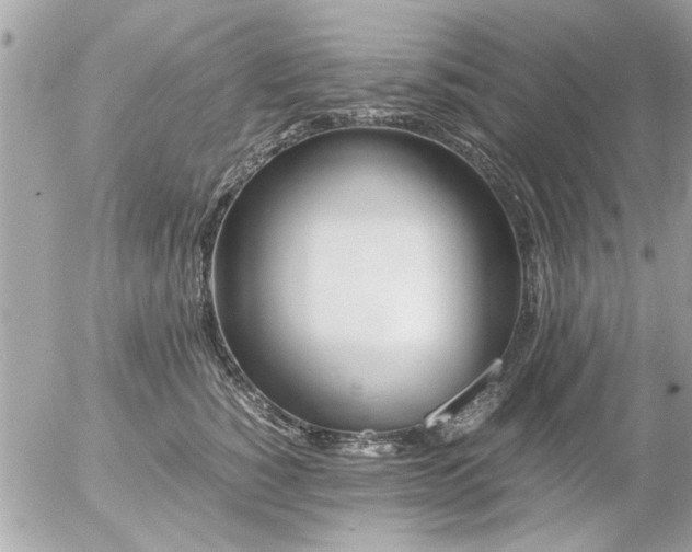 X0000055510760200508262140