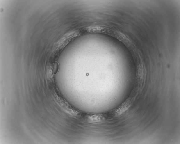 X0000055510761200508262140