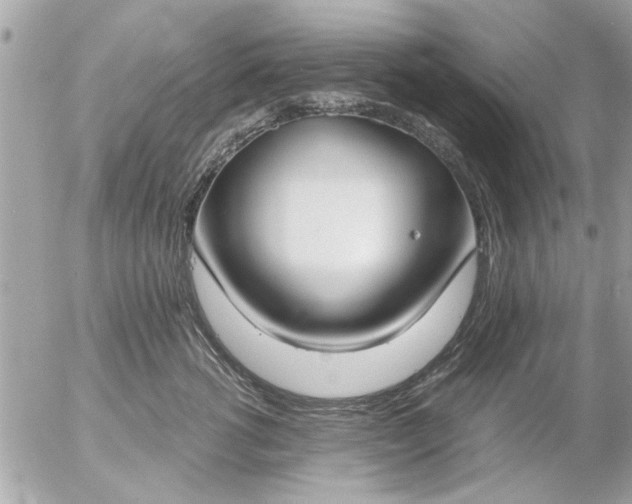 X0000055510762200508262140