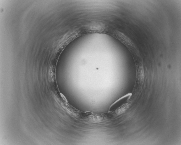 X0000055510764200508262140