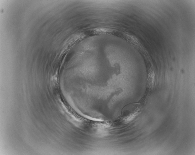 X0000055510765200508262140