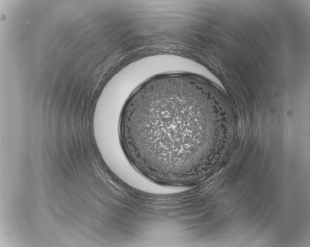 X0000055510766200508262140