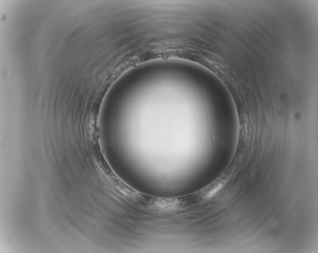 X0000055510767200508262140