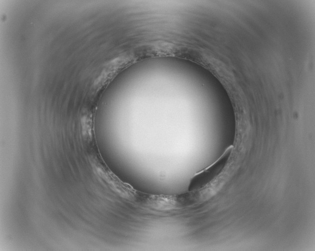 X0000055510768200508262140