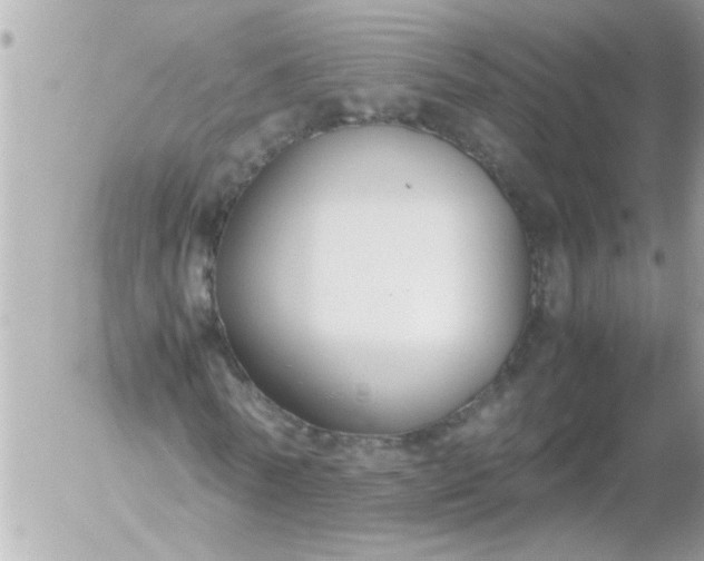 X0000055510770200508262139