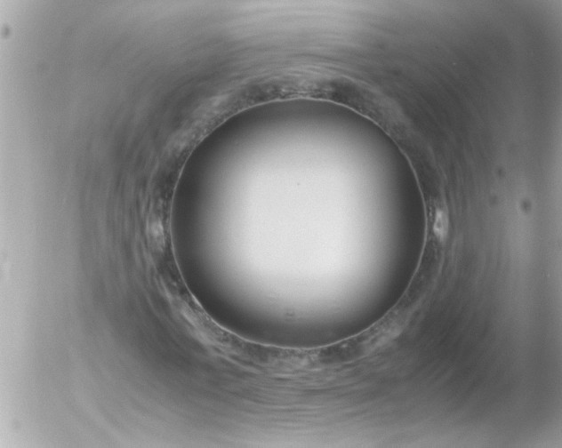 X0000055510771200508262139