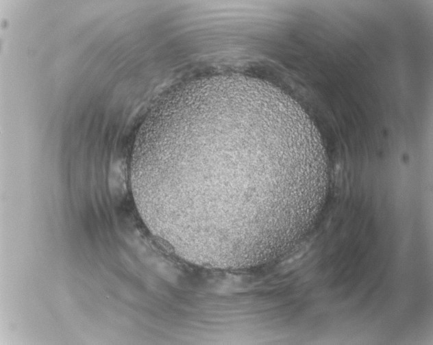 X0000055510772200508262139