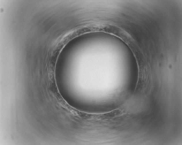 X0000055510773200508262139