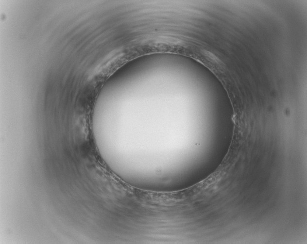 X0000055510774200508262139