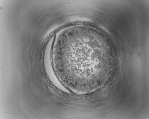 X0000055510775200508262139