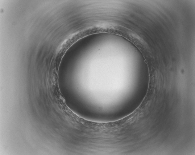 X0000055510776200508262139