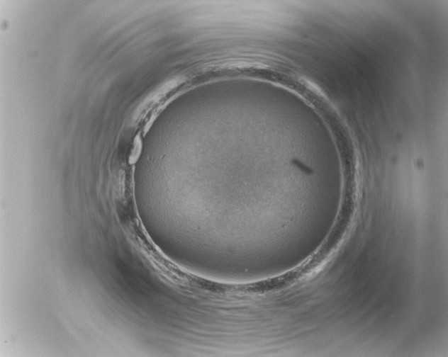 X0000055510777200508262139